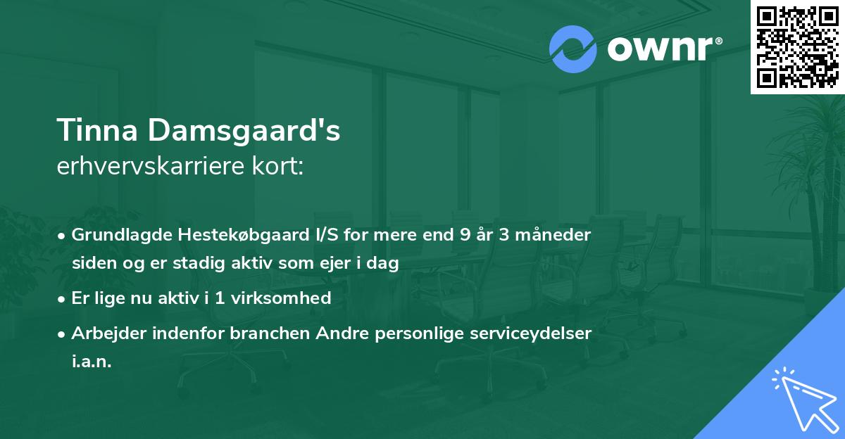 Tinna Damsgaard's erhvervskarriere kort