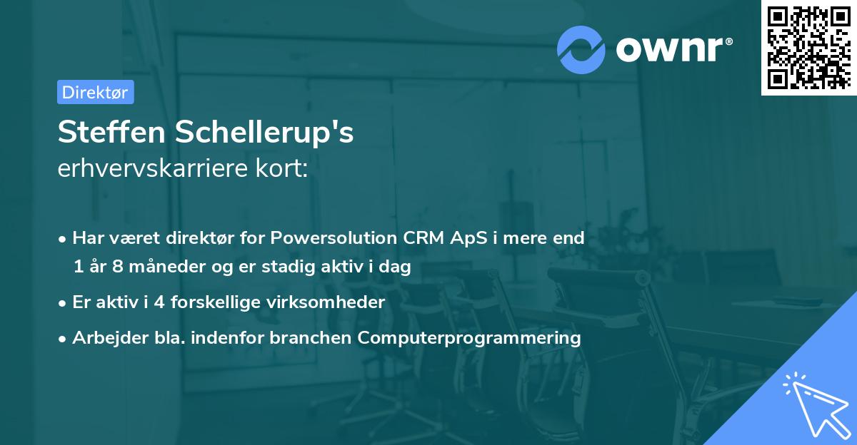 Steffen Schellerup's erhvervskarriere kort