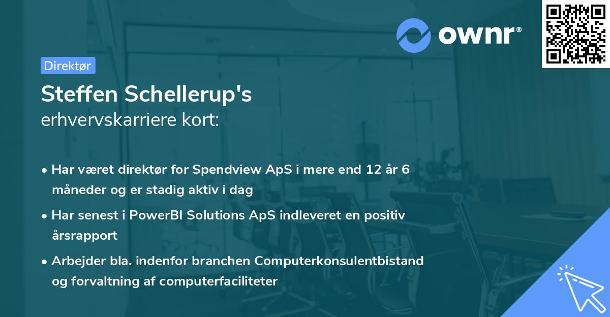 Steffen Schellerup's erhvervskarriere kort