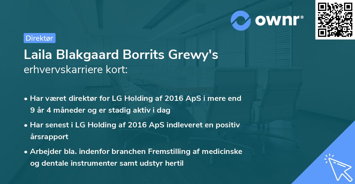 Laila Blakgaard Borrits Grewy's erhvervskarriere kort