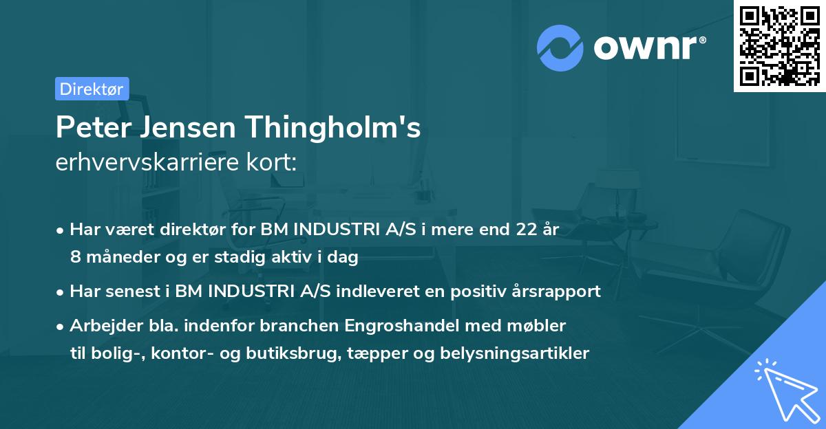 Peter Jensen Thingholm's erhvervskarriere kort