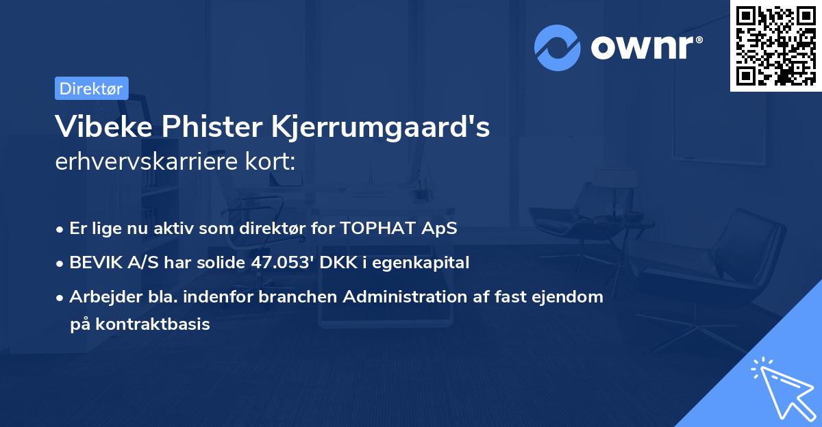 Vibeke Phister Kjerrumgaard's erhvervskarriere kort