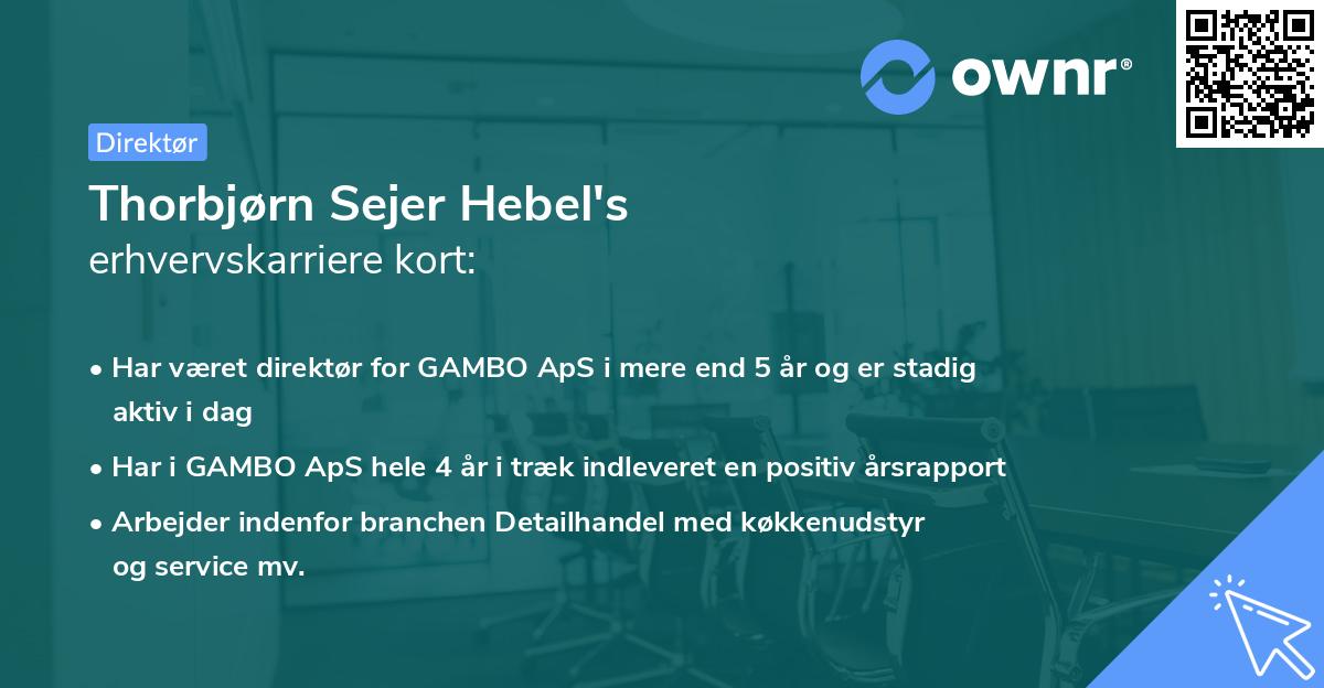 Thorbjørn Sejer Hebel's erhvervskarriere kort