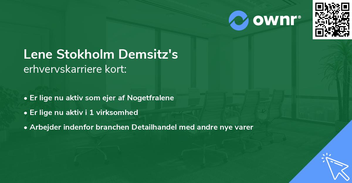 Lene Stokholm Demsitz's erhvervskarriere kort