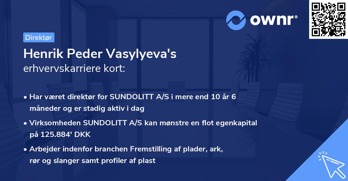 Henrik Peder Vasylyeva's erhvervskarriere kort