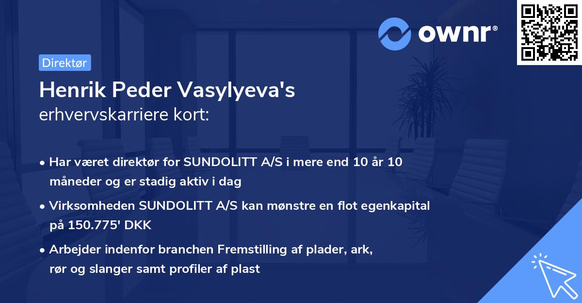 Henrik Peder Vasylyeva's erhvervskarriere kort