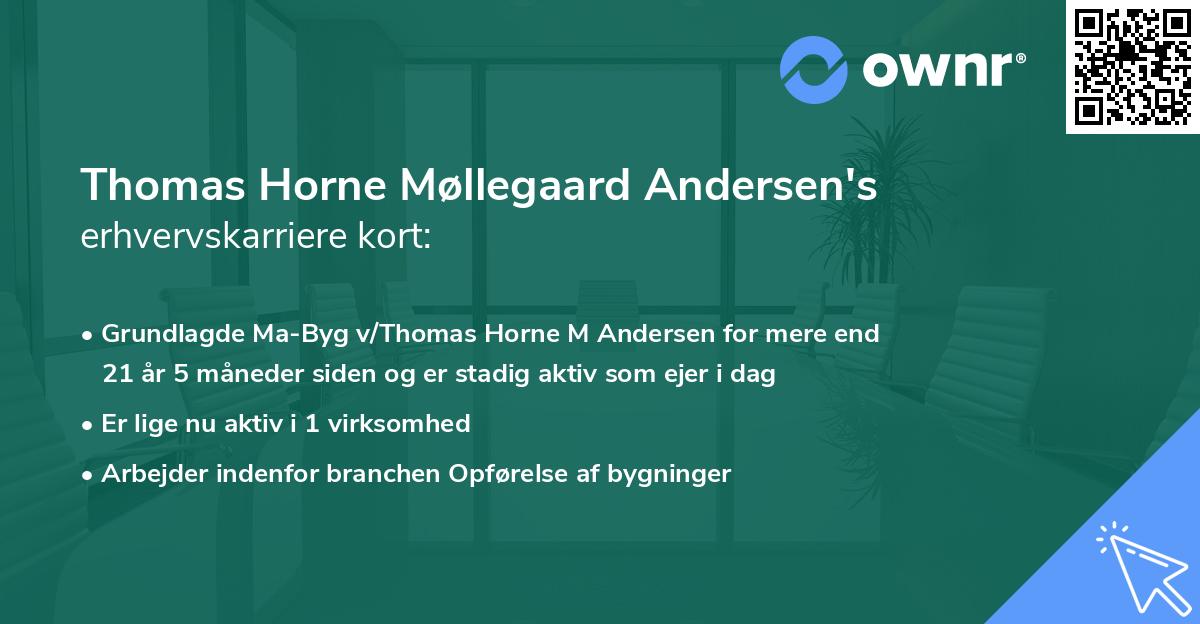 Thomas Horne Møllegaard Andersen's erhvervskarriere kort