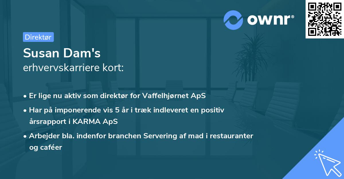Susan Dam's erhvervskarriere kort