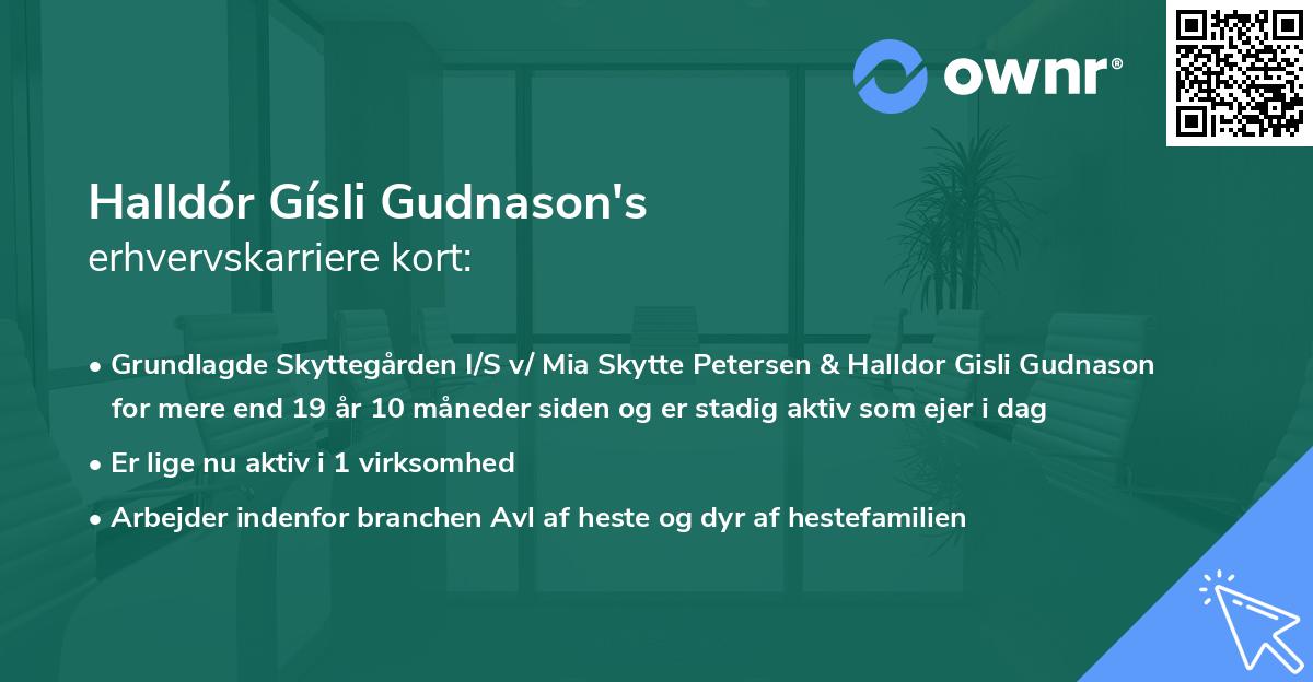 Halldór Gísli Gudnason's erhvervskarriere kort