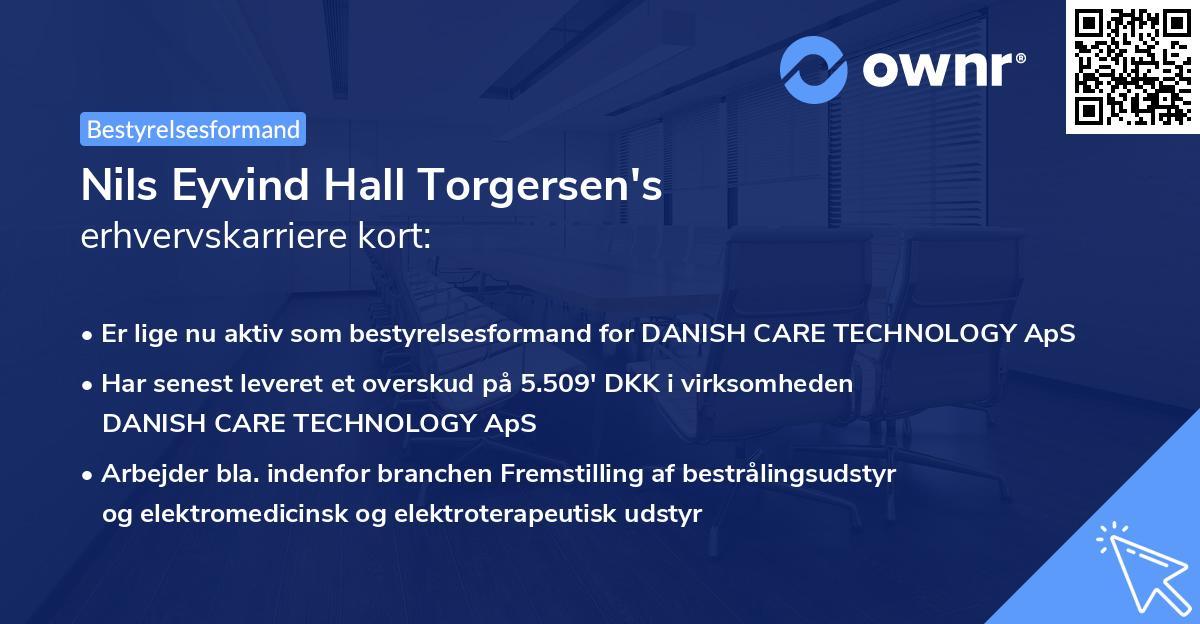 Nils Eyvind Hall Torgersen's erhvervskarriere kort