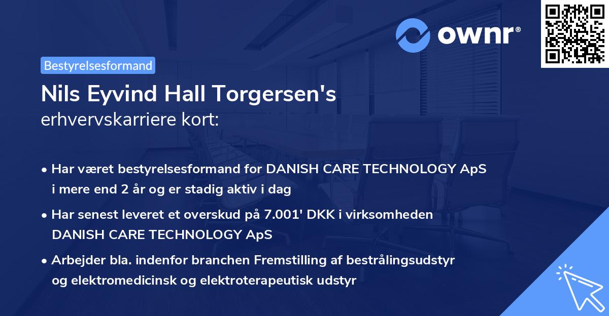 Nils Eyvind Hall Torgersen's erhvervskarriere kort