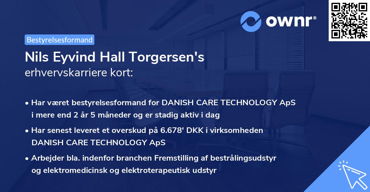 Nils Eyvind Hall Torgersen's erhvervskarriere kort