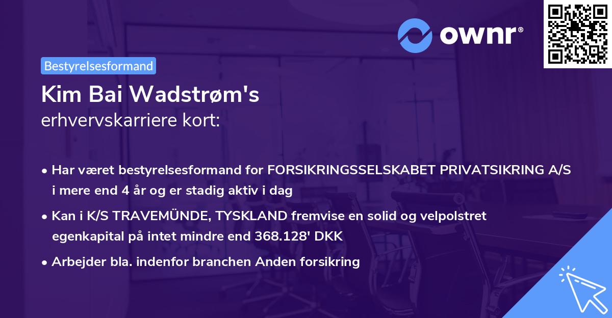 Kim Bai Wadstrøm's erhvervskarriere kort