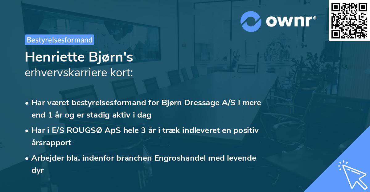 Henriette Bjørn's erhvervskarriere kort