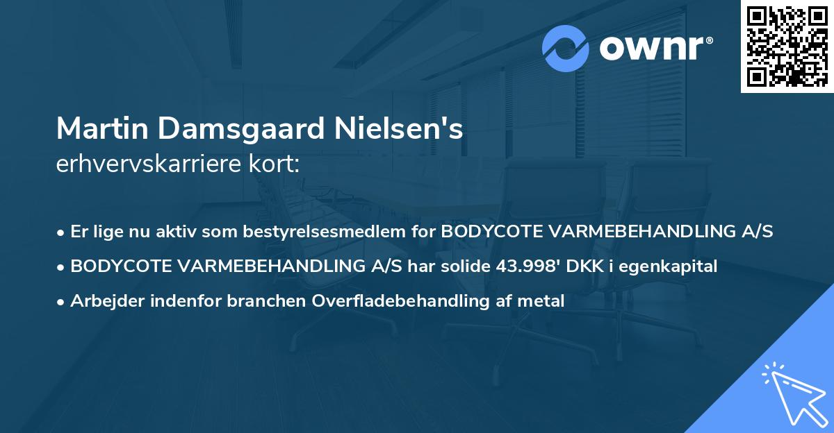 Martin Damsgaard Nielsen's erhvervskarriere kort