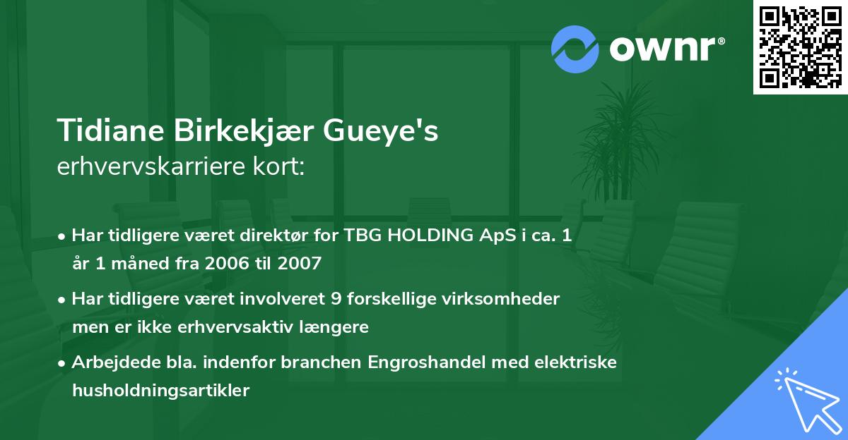 Tidiane Birkekjær Gueye's erhvervskarriere kort