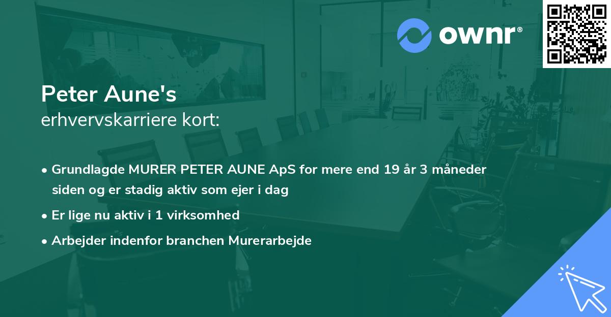Peter Aune's erhvervskarriere kort