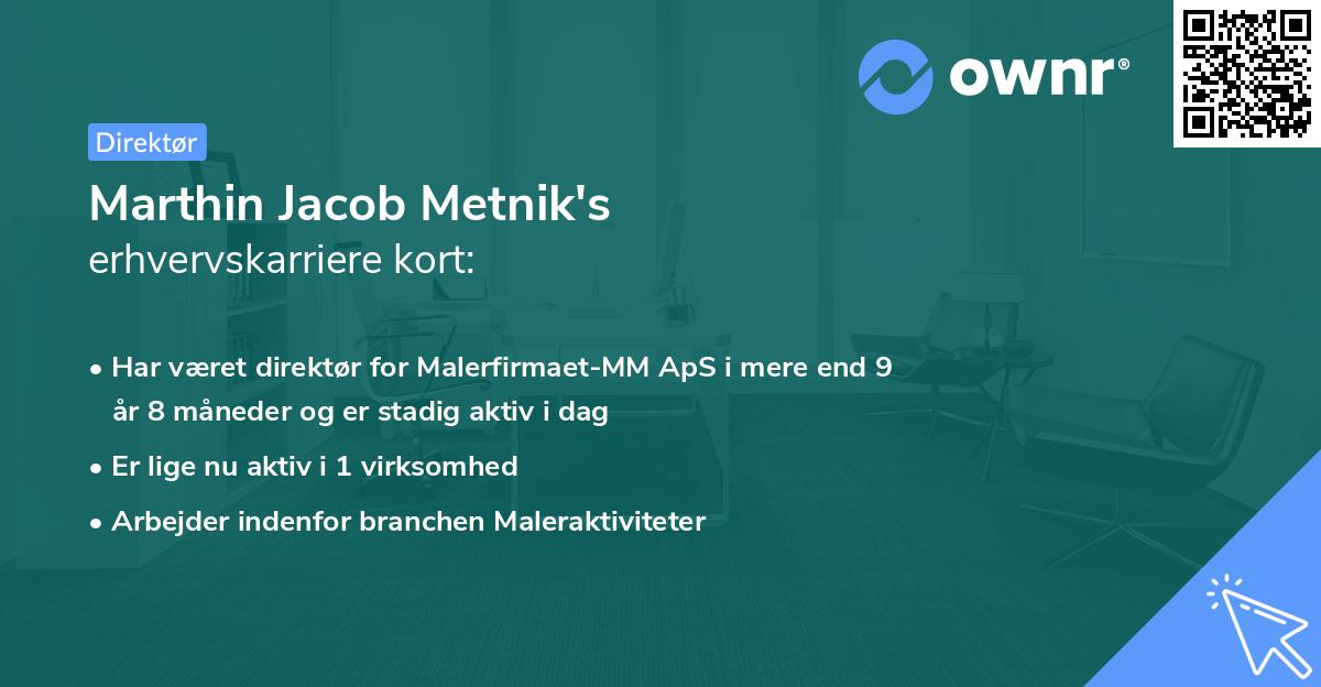 Marthin Jacob Metnik's erhvervskarriere kort