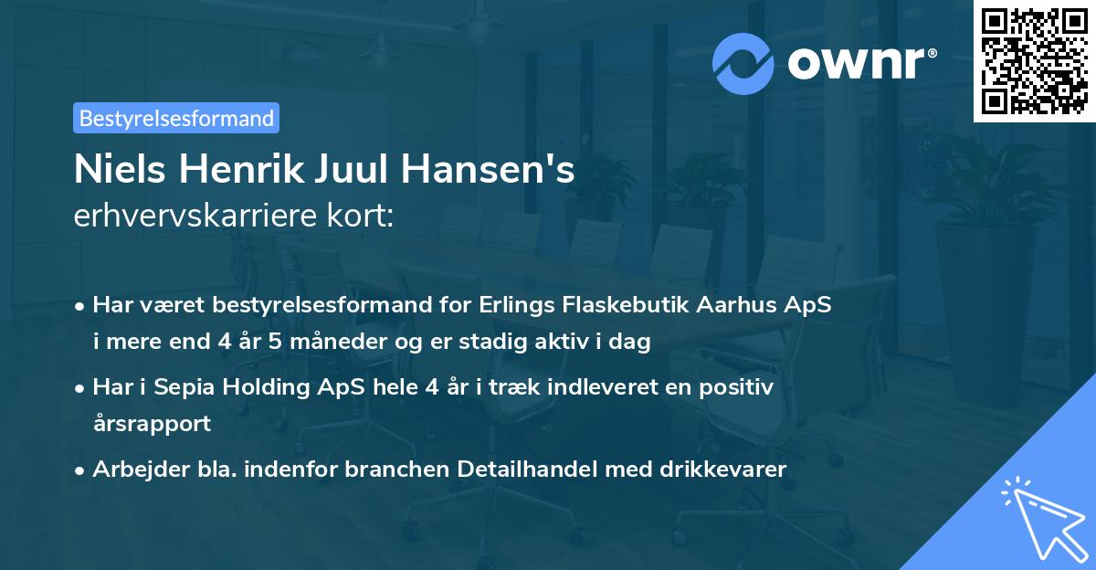 Niels Henrik Juul Hansen's erhvervskarriere kort