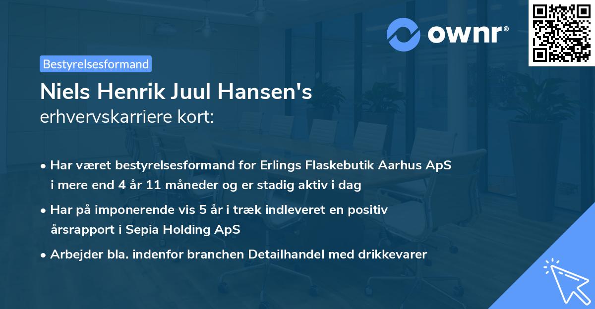 Niels Henrik Juul Hansen's erhvervskarriere kort