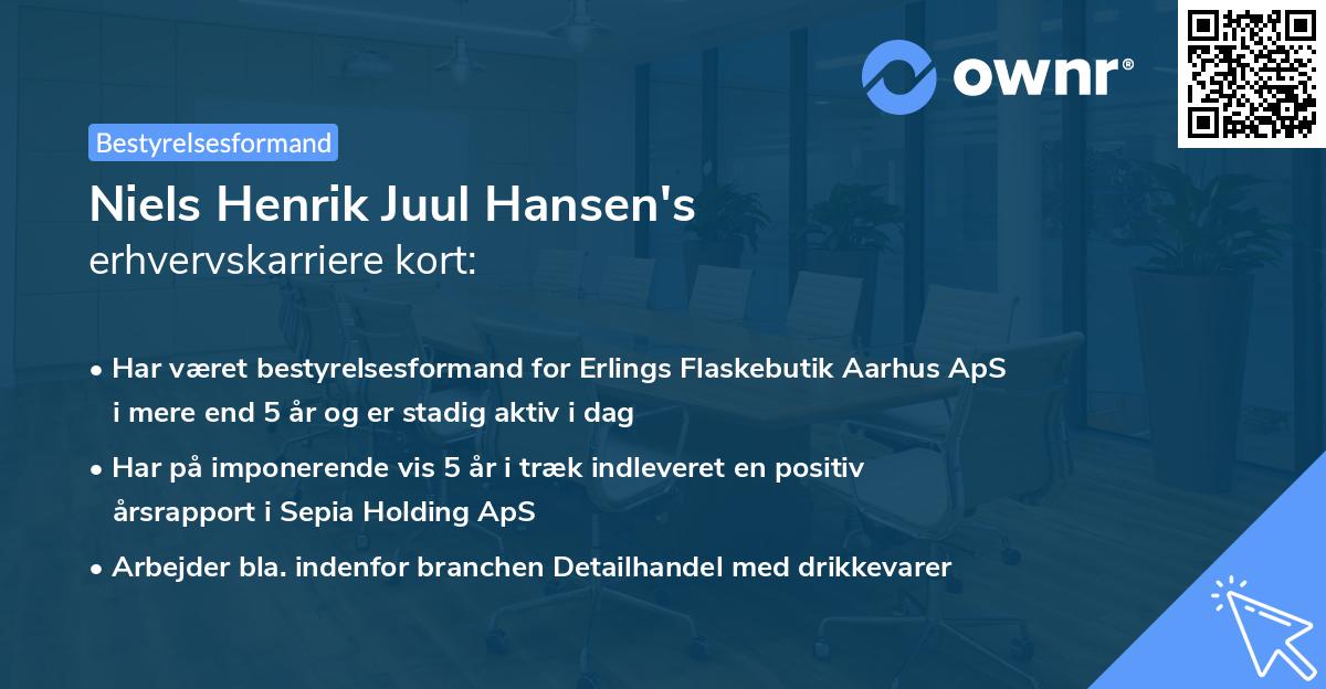 Niels Henrik Juul Hansen's erhvervskarriere kort