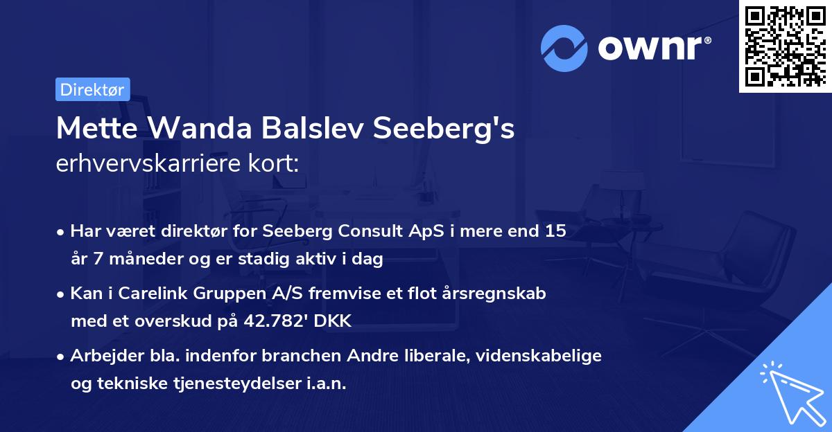 Mette Wanda Balslev Seeberg's erhvervskarriere kort