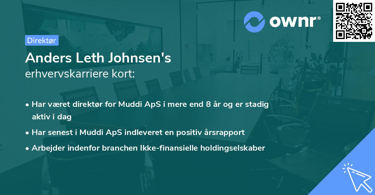 Anders Leth Johnsen's erhvervskarriere kort