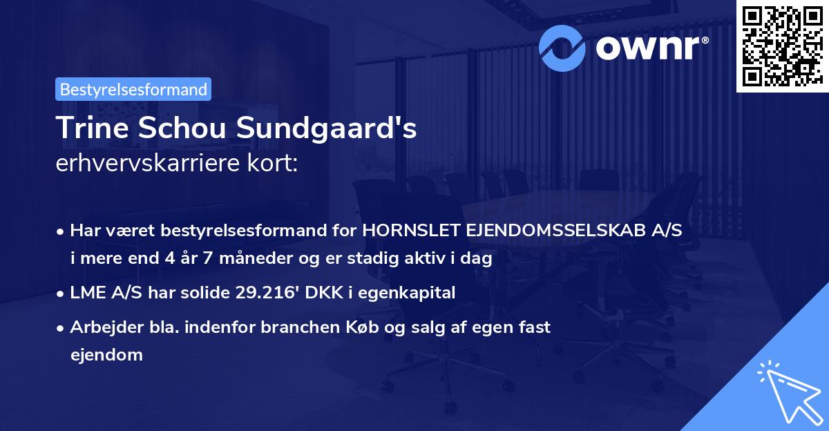 Trine Schou Sundgaard's erhvervskarriere kort