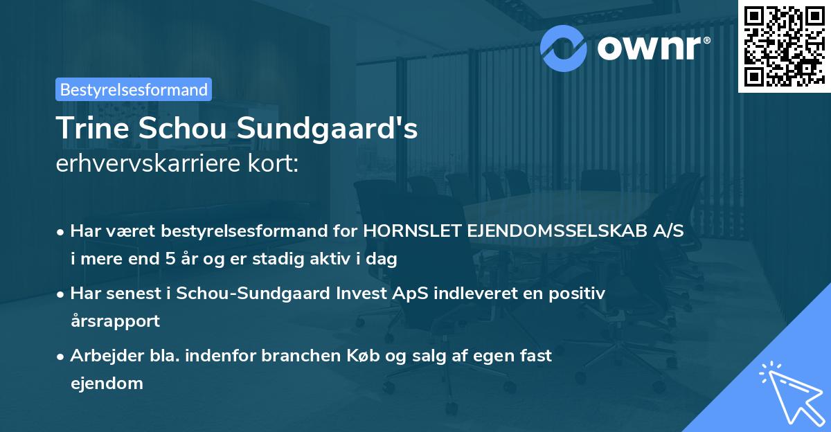 Trine Schou Sundgaard's erhvervskarriere kort