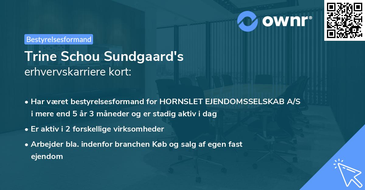 Trine Schou Sundgaard's erhvervskarriere kort