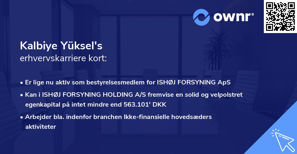 Kalbiye Yüksel's erhvervskarriere kort