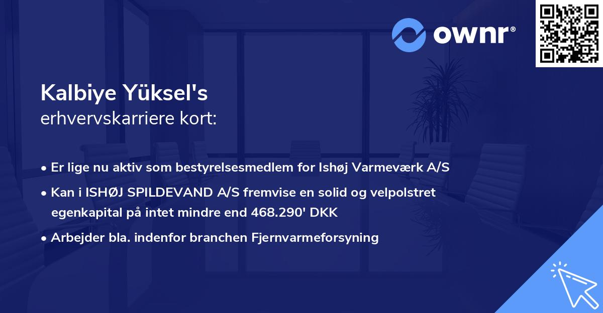 Kalbiye Yüksel's erhvervskarriere kort