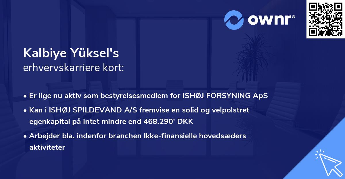 Kalbiye Yüksel's erhvervskarriere kort
