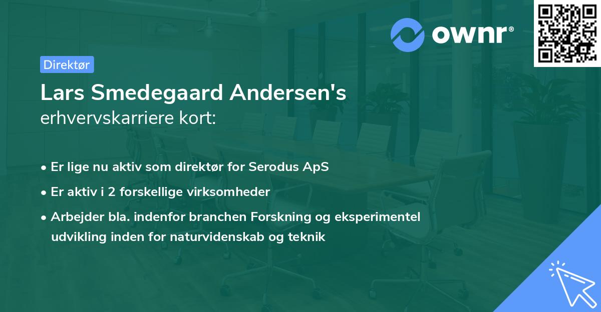 Lars Smedegaard Andersen's erhvervskarriere kort