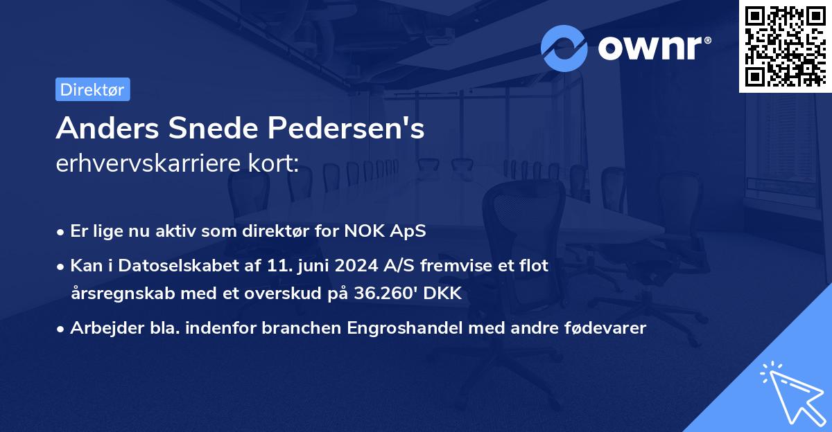Anders Snede Pedersen's erhvervskarriere kort