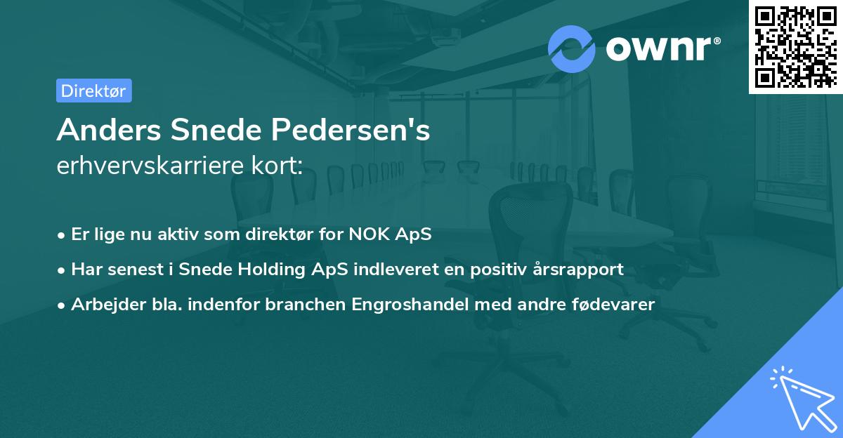Anders Snede Pedersen's erhvervskarriere kort