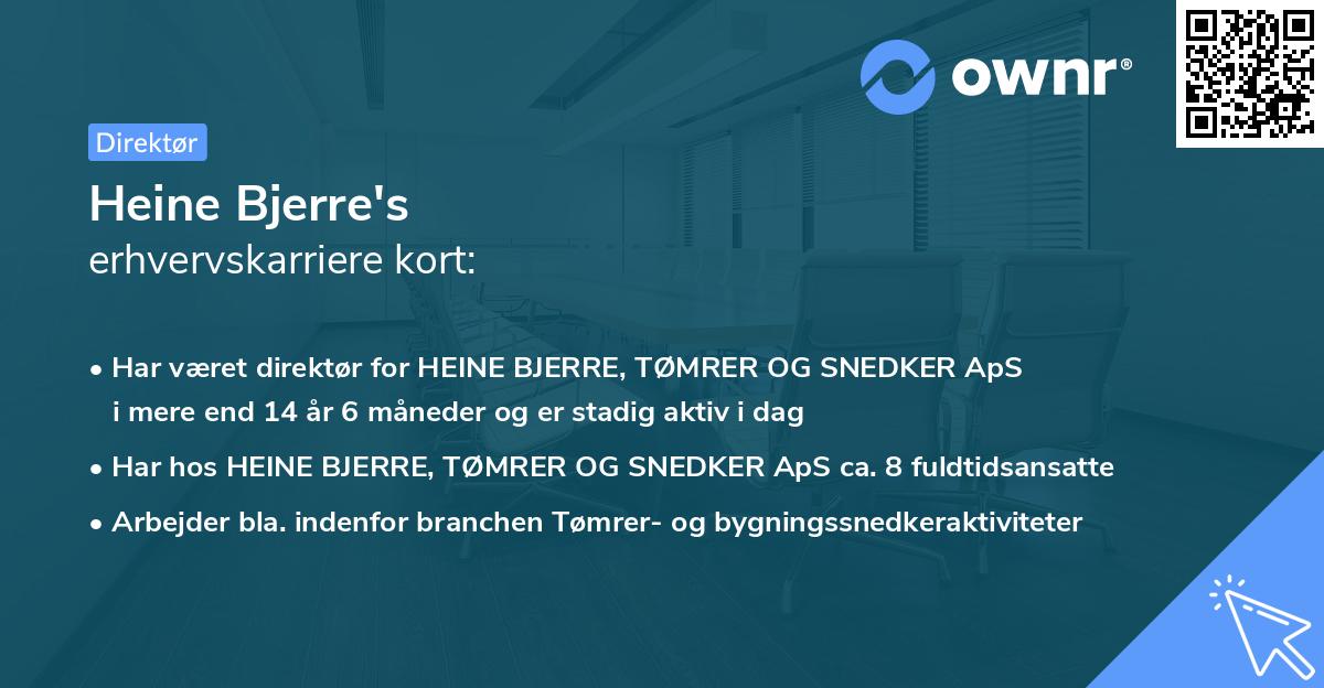 Heine Bjerre's erhvervskarriere kort