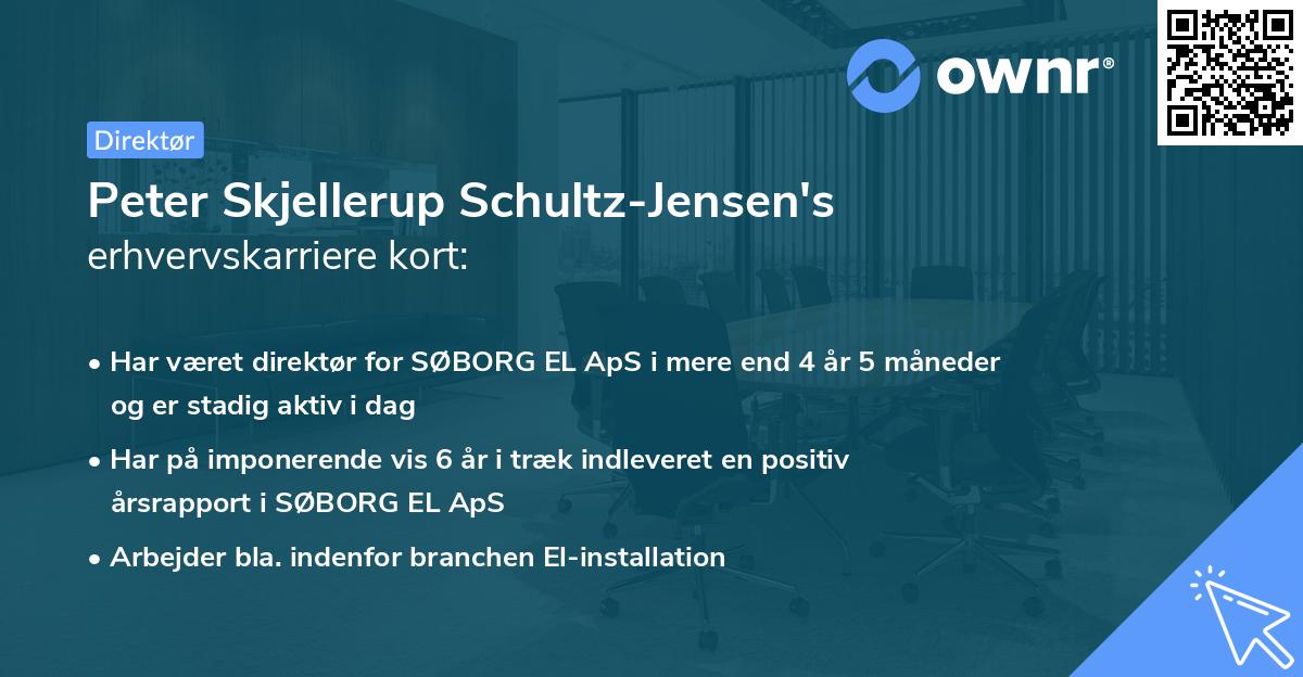 Peter Skjellerup Schultz-Jensen's erhvervskarriere kort