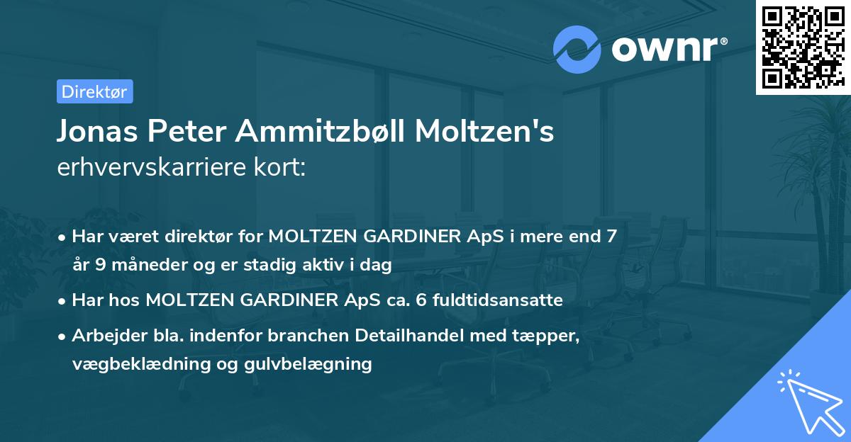 Jonas Peter Ammitzbøll Moltzen's erhvervskarriere kort