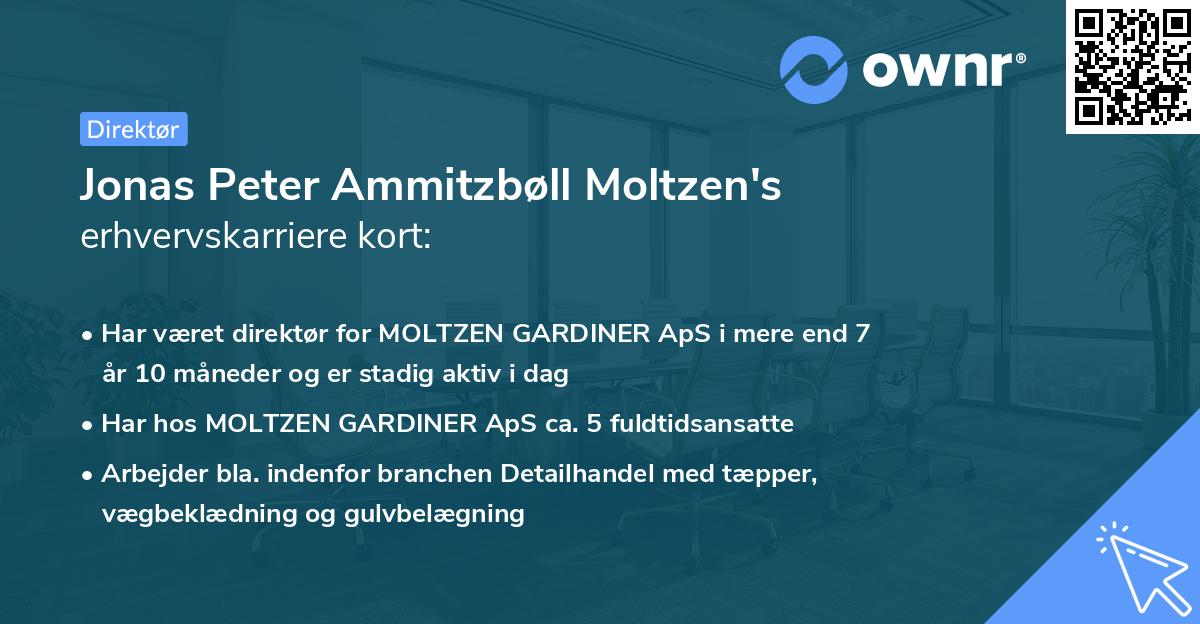 Jonas Peter Ammitzbøll Moltzen's erhvervskarriere kort