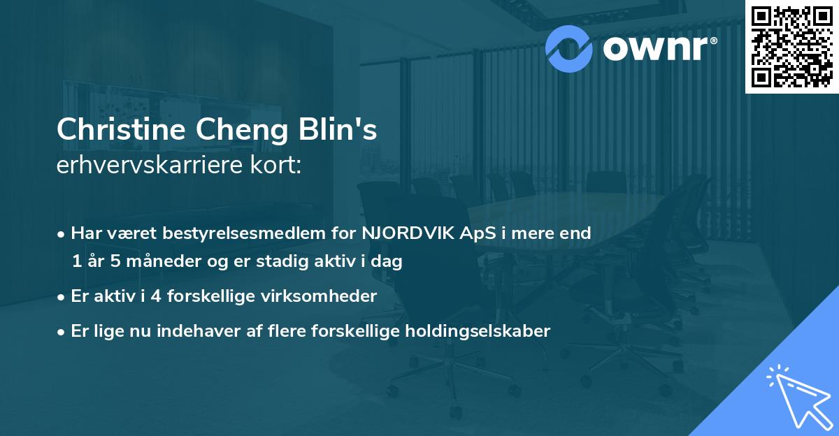 Christine Cheng Blin's erhvervskarriere kort