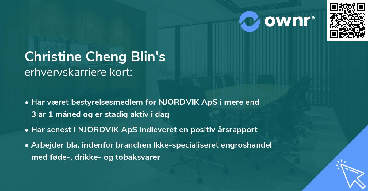 Christine Cheng Blin's erhvervskarriere kort