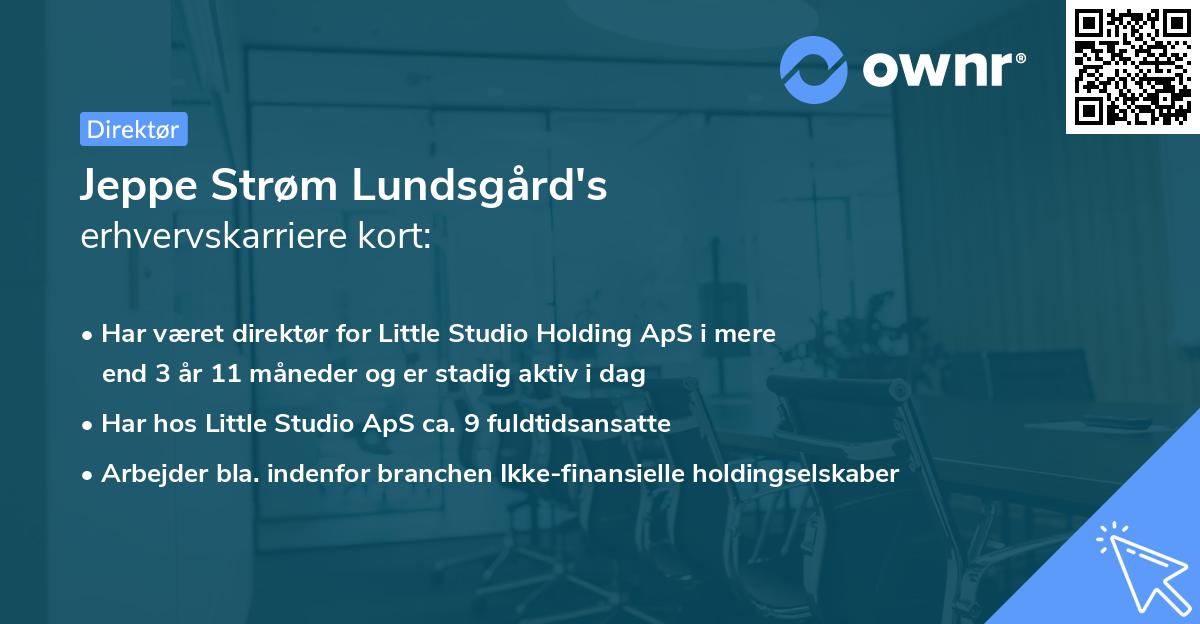 Jeppe Strøm Lundsgård's erhvervskarriere kort