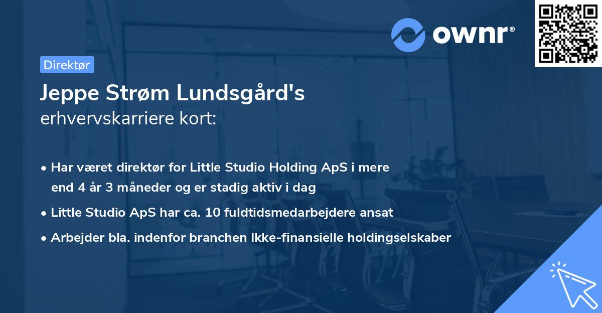 Jeppe Strøm Lundsgård's erhvervskarriere kort