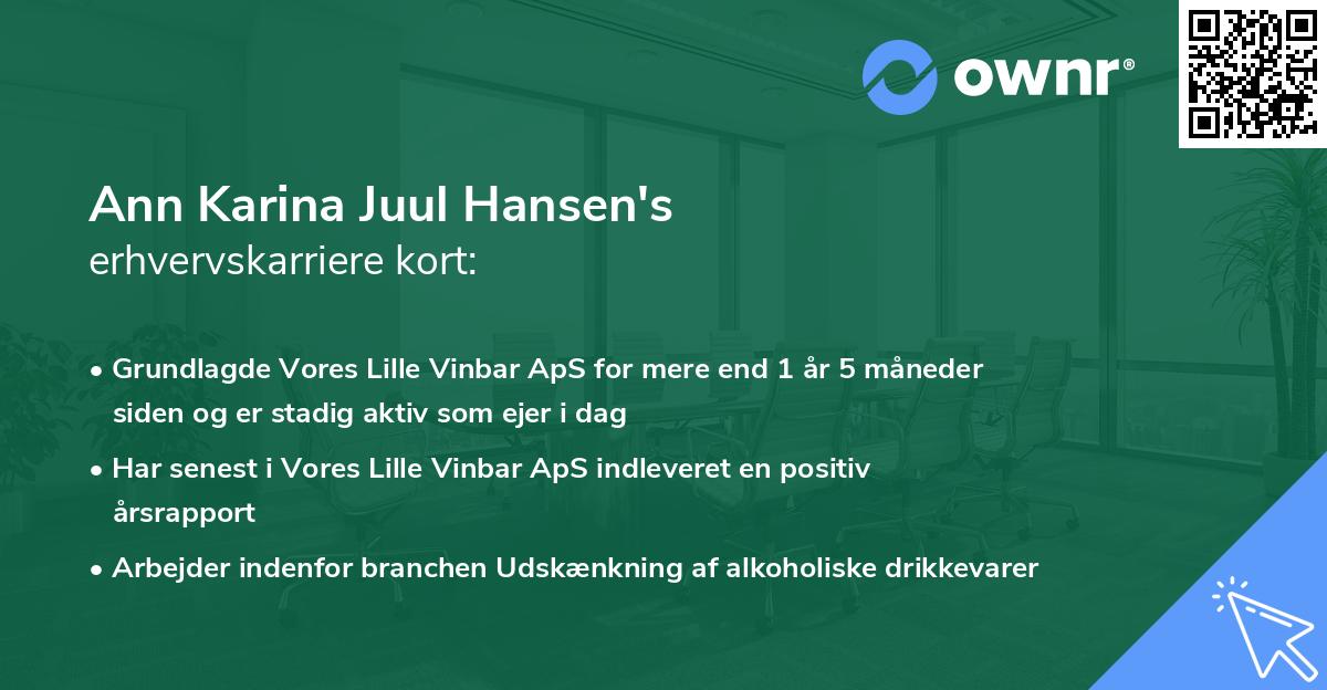Ann Karina Juul Hansen's erhvervskarriere kort