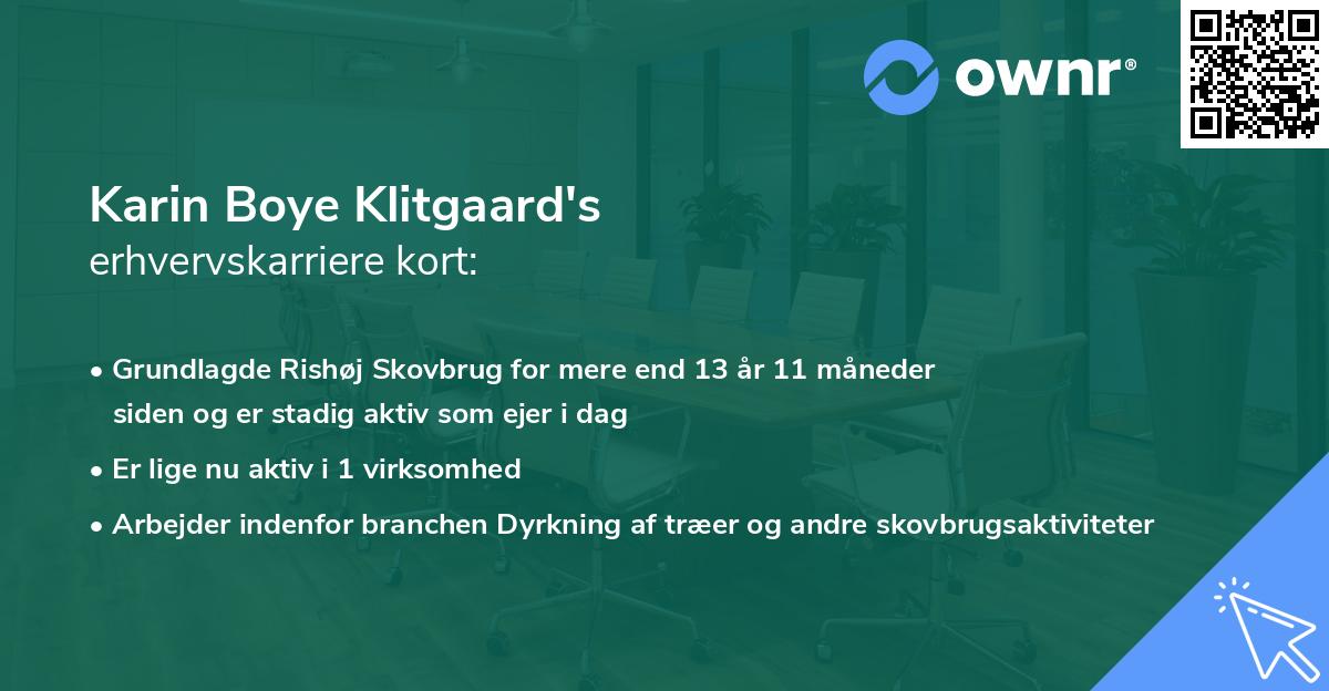 Karin Boye Klitgaard's erhvervskarriere kort