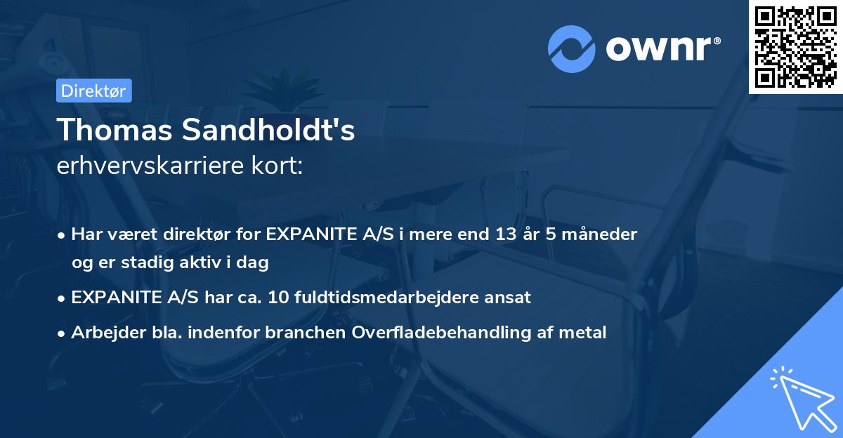 Thomas Sandholdt's erhvervskarriere kort