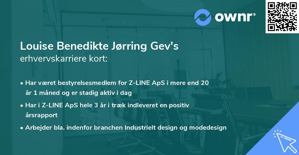 Louise Benedikte Jørring Gev's erhvervskarriere kort