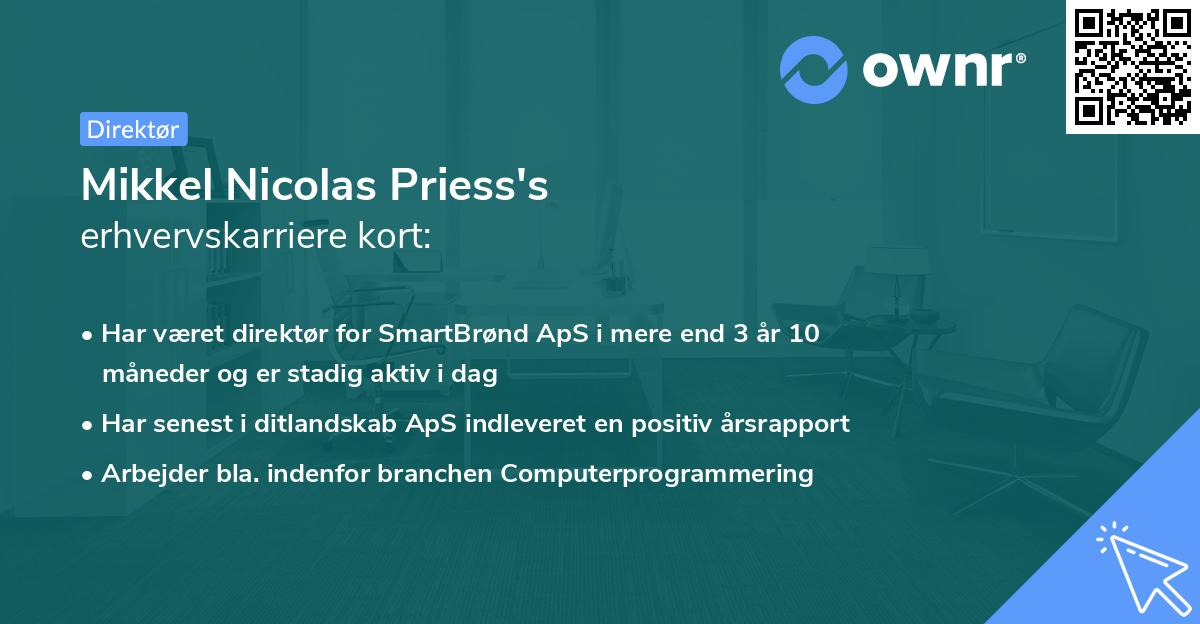 Mikkel Nicolas Priess's erhvervskarriere kort