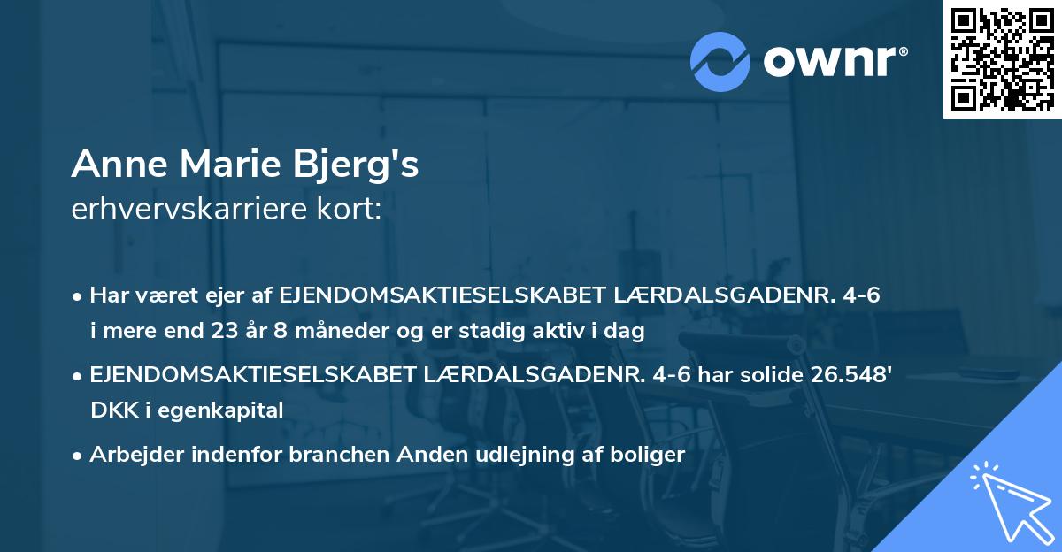 Anne Marie Bjerg's erhvervskarriere kort